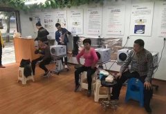 薇赫慈頻譜能量儀價格?薇赫慈小鋼炮儀器管用嗎