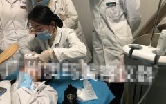 雙逆博士機(jī)器多少錢一臺？正版雙逆博士儀器_雙逆博士真假辨別